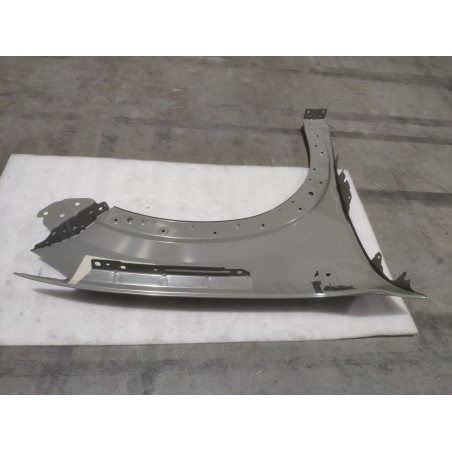 Aile avant gauche - BYD - 19001640-00