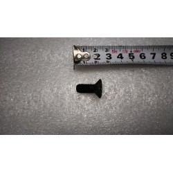 Vis à tête fraisée à empreinte Torx - BYD - 13819117-00