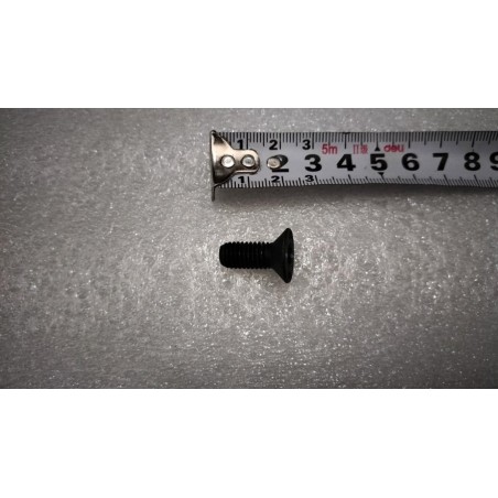 Vis à tête fraisée à empreinte Torx - BYD - 13819117-00