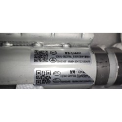 Module de rideau airbag latéral gauche - BYD - 18834334-00