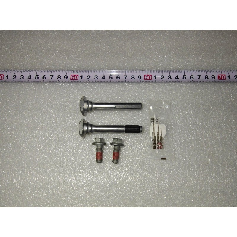 Sous-ensemble axe de guidage d'étrier de frein arrière - BYD - 18665112-00