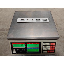 Logo série ATTO - BYD - 18660151-00
