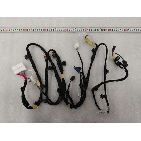 TRUNK LID WIRING HARNESS - Faisceau de câblage de couvercle de coffre - BYD - 18618432-00