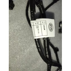 Faisceau de câblage de compartiment avant - BYD - 13669100-00