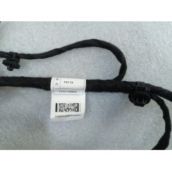 Faisceau de câblage de porte avant droite - BYD - 13669096-00