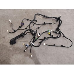 Faisceau de câblage de porte avant gauche - BYD - 13669091-00