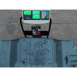Panneau de plancher arrière - BYD - 18558842-00