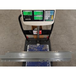 Panneau intérieur gauche de bas de caisse - BYD - 18558831-00
