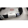 Faisceau de câblage de pavillon - BYD - 18501355-00