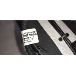 Dossier de siège conducteur - marron - BYD - 18441973-00