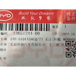 Panneau de recouvrement arrière droit - BYD - 13651244-00
