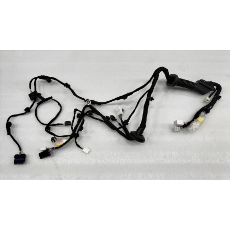 Faisceau de porte avant droite - BYD - 13649413-00