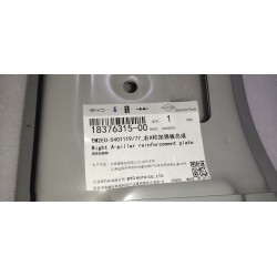Plaque de renfort de montant A droit - BYD - 18376315-00