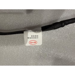 Faisceau de câblage de masse de l'unité de contrôle moteur arrière - BYD - 18220995-00